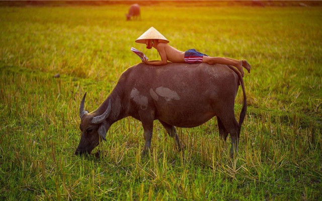 Nửa đầu tháng 4/2023: Ba con giáp sau vận may nở rộ, làm gì cũng phát tài phát lộc