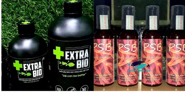 So sánh hai loại vi sinh Extra Bio và PSB: Loại nào tốt hơn? 2