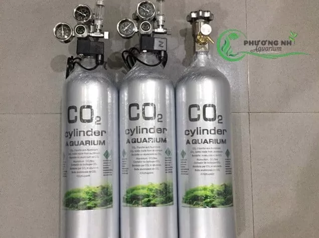 Bình CO2 thủy sinh có nguy hiểm/nổ không? 4